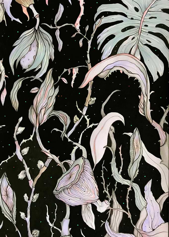 Plantas 2