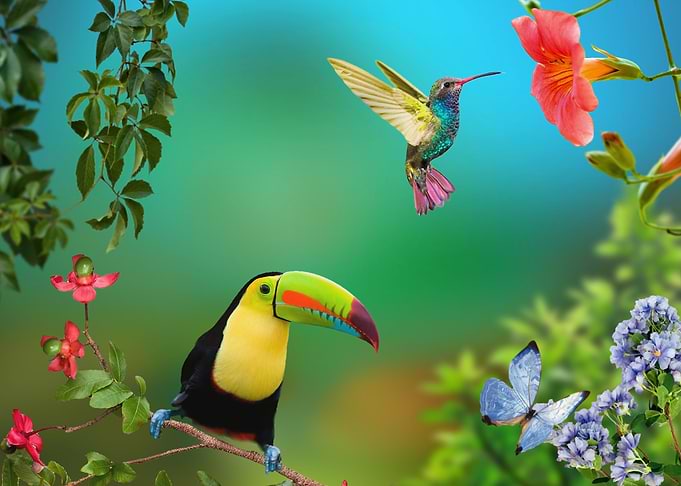 The joy of life Tropics