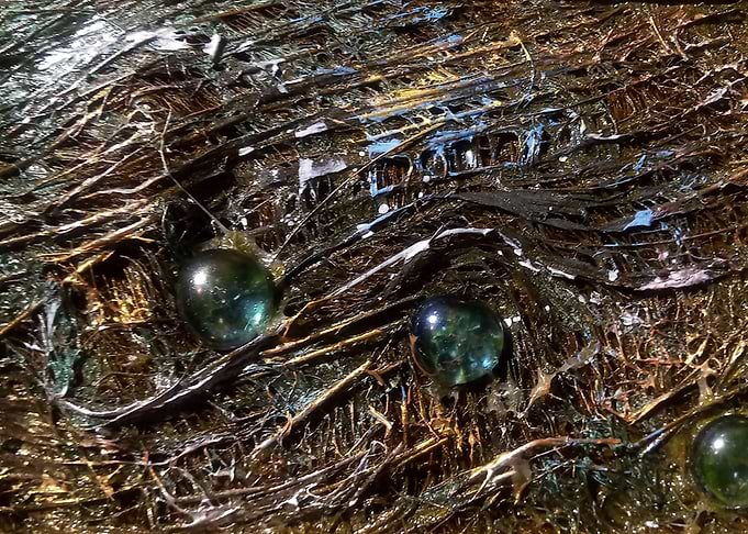Wood decay series
