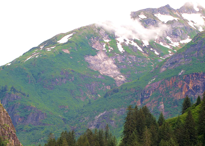 Alaskan Beauty