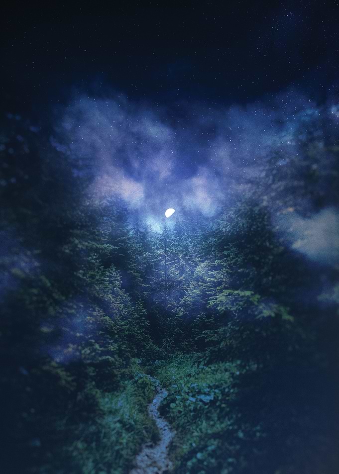 Moonlight