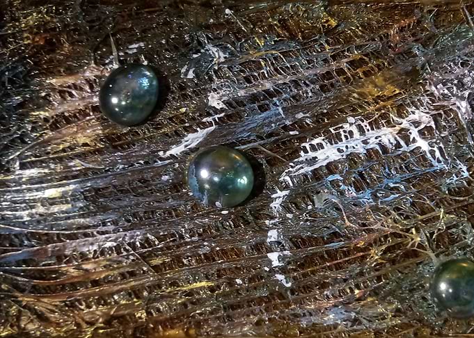 Wood decay series