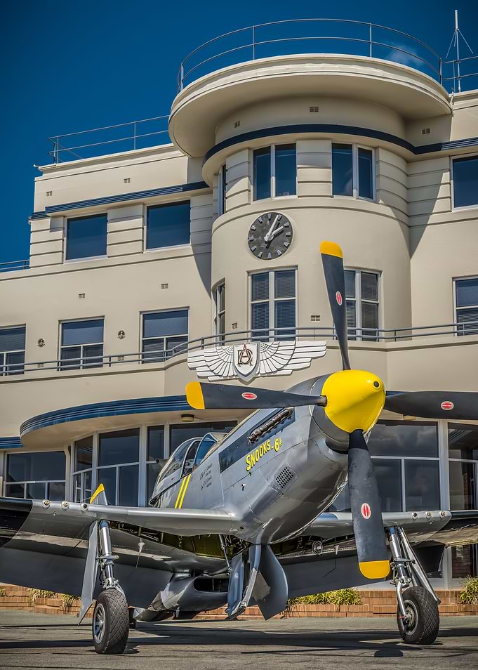 Mustang at Archerfield