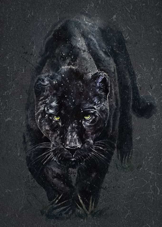 Panther watercolor
