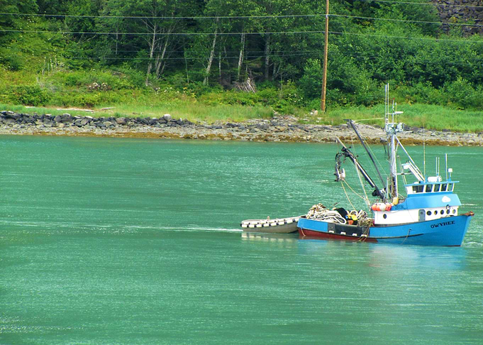 Alaskan Beauty
