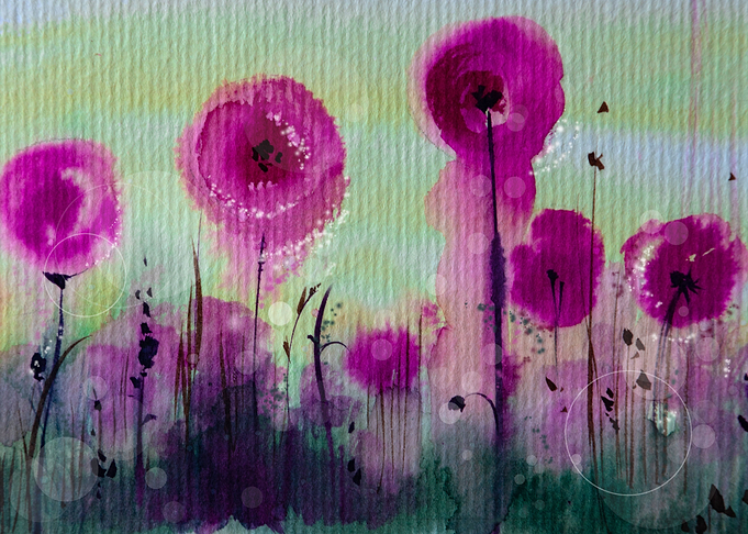 Pink Poppies