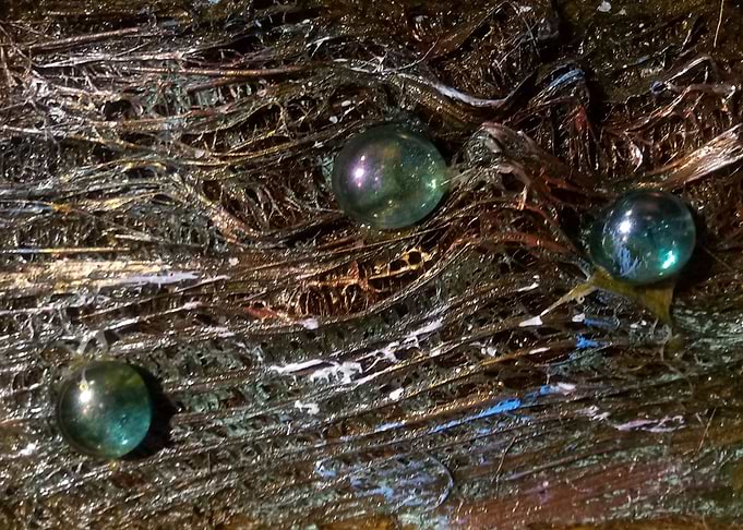 Wood decay series