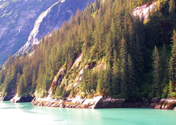 Alaskan Beauty