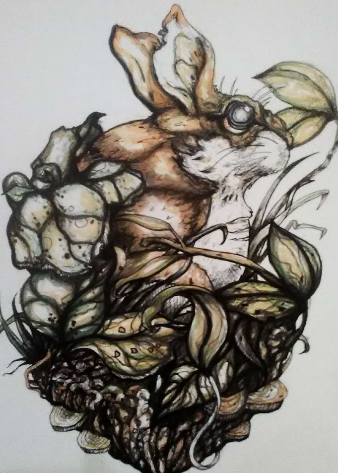 Watership Down Hazel Novel