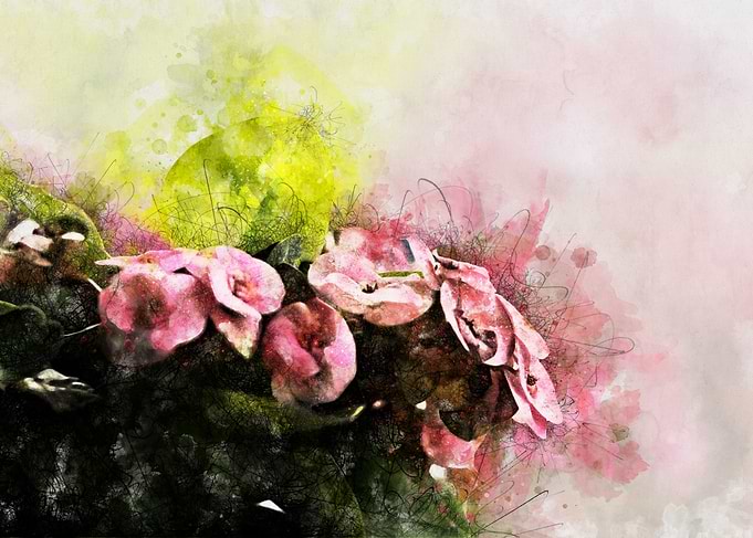 Pink Flowers