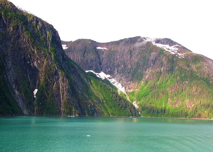 Alaskan Beauty