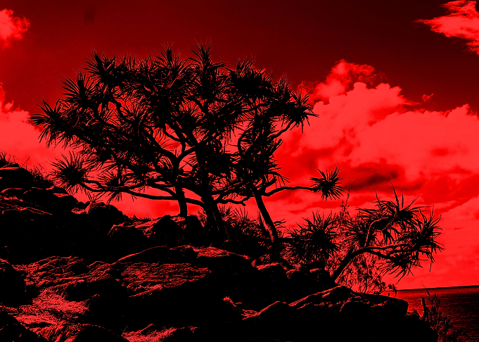 Red Tree