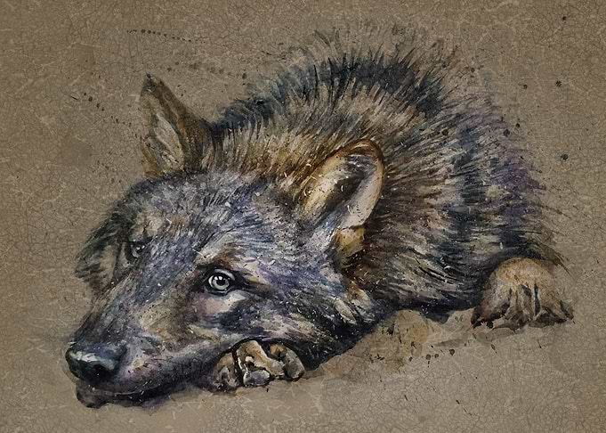 Wolf watercolor