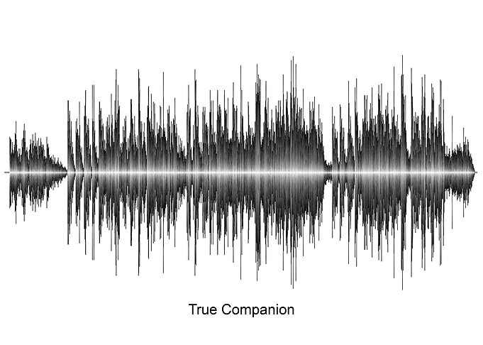 True Companion Soundwave