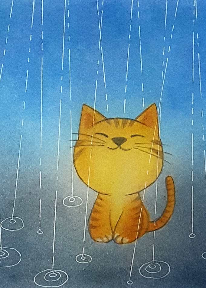 Cat in rain