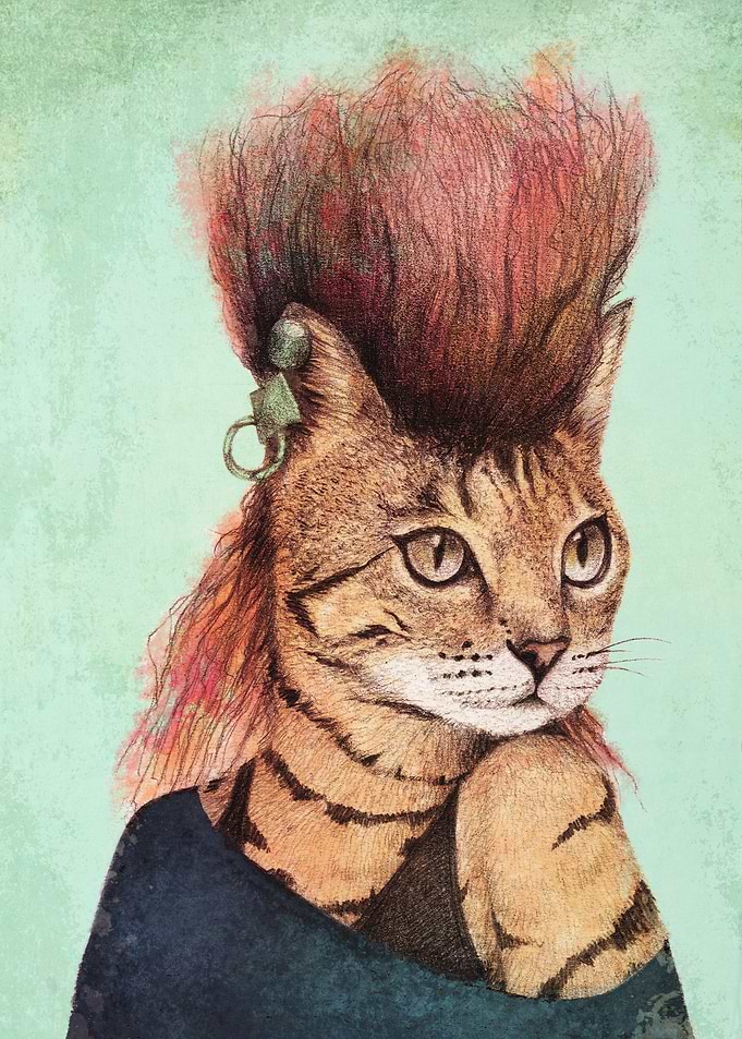 Caty II