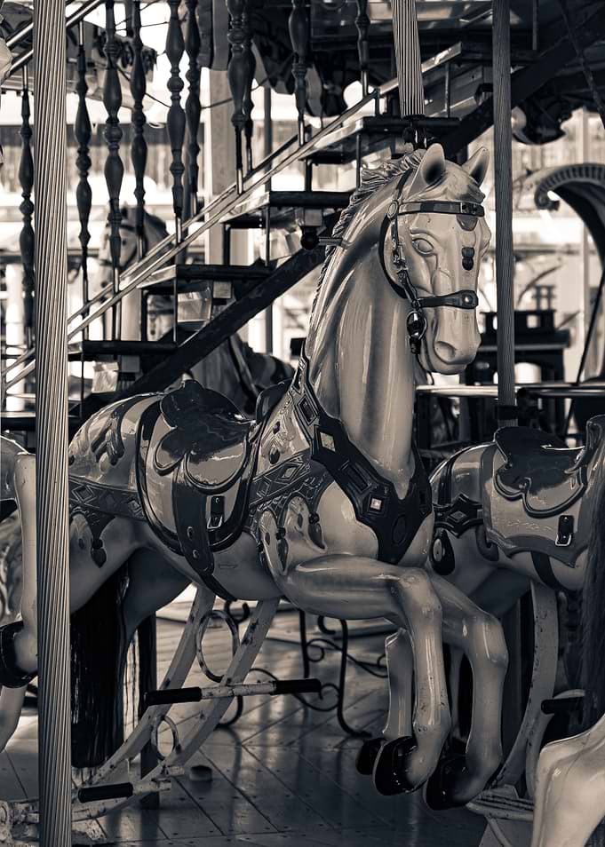 Merry Go Round 6