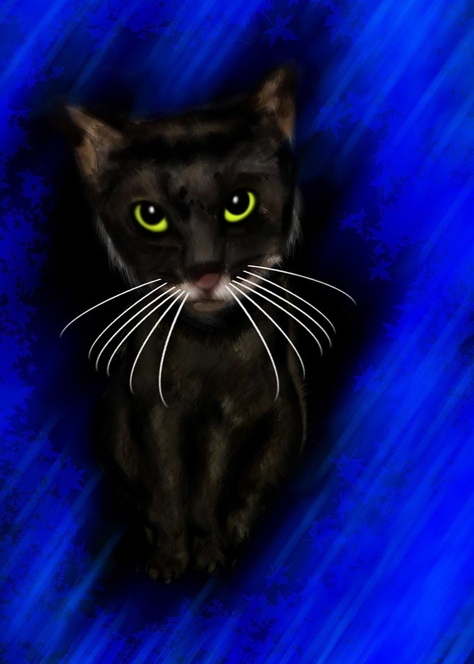 Dark Kitty