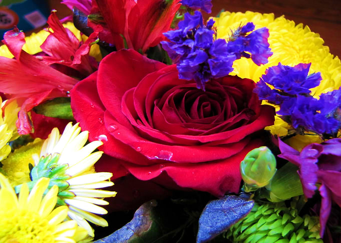 Flower Garden