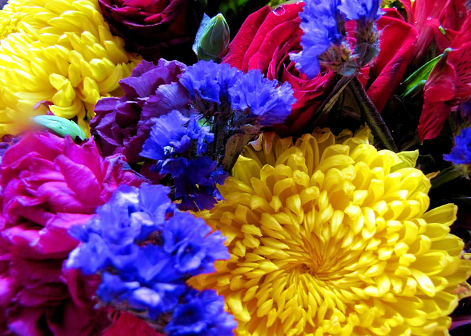 Flower Garden