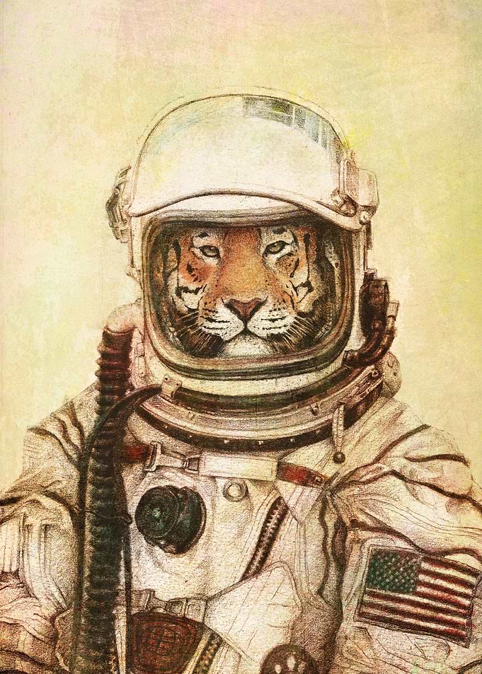 Apollo 18