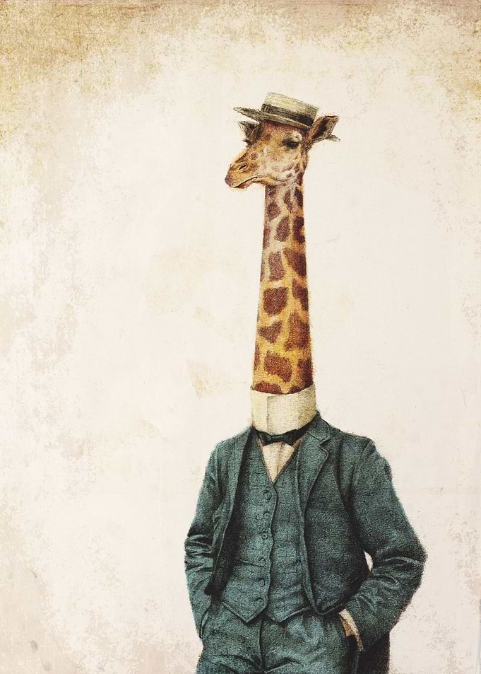 High Class Gentleman