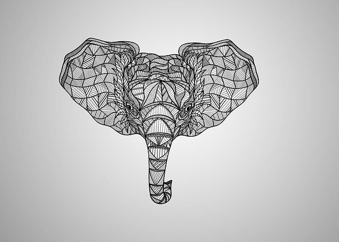 Baby elephant