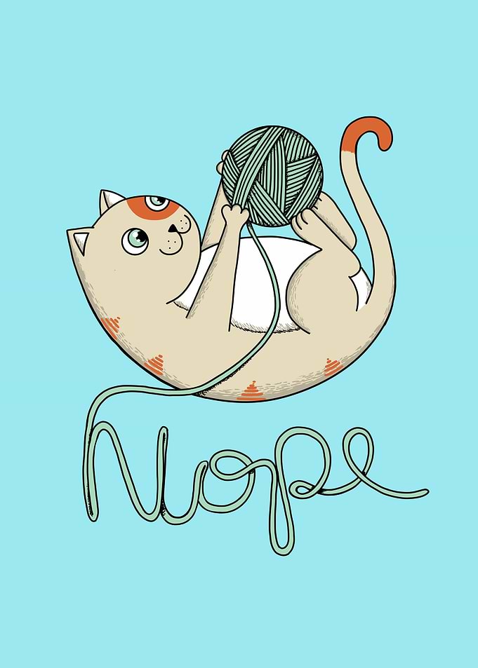 Cat Nope