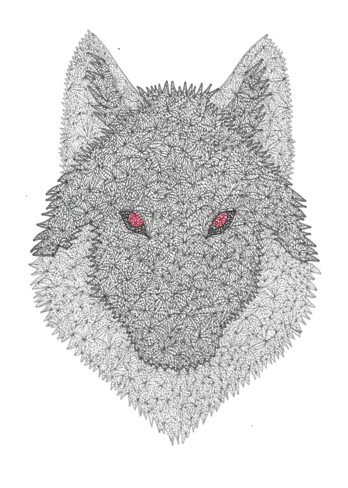 White Fang