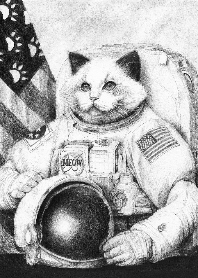 Meow out of space