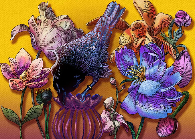 BLckbird