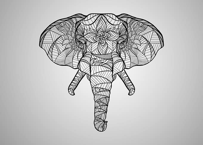 Proud elephant