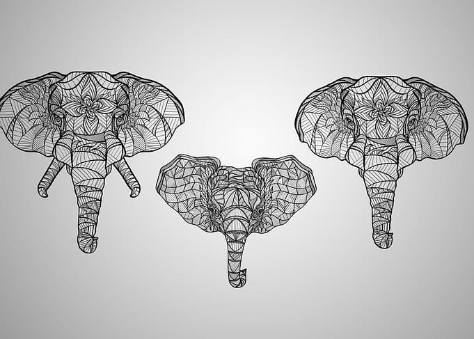Elephant family