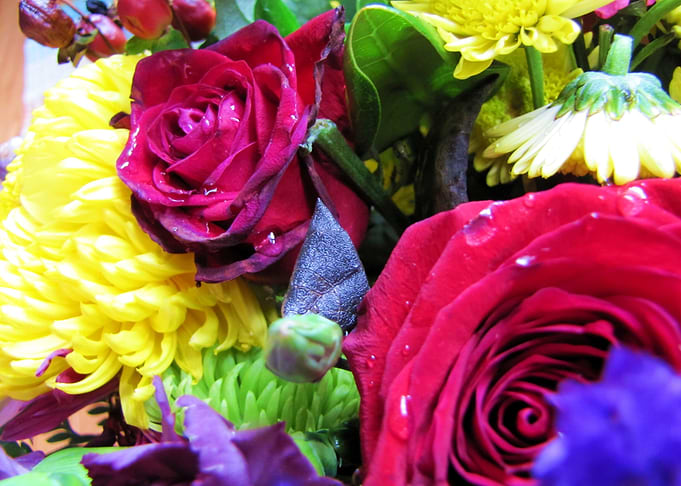 Flower Garden