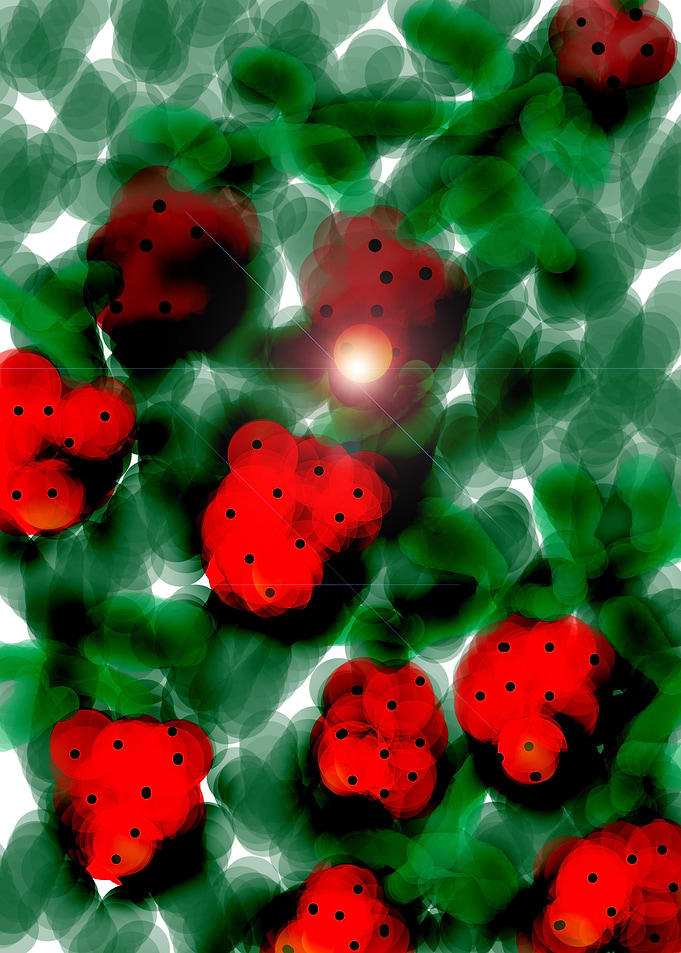 Berries