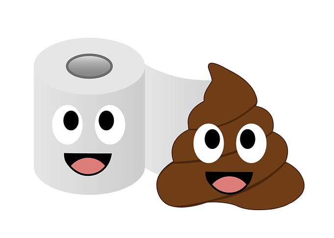 Poop and toilet tissue