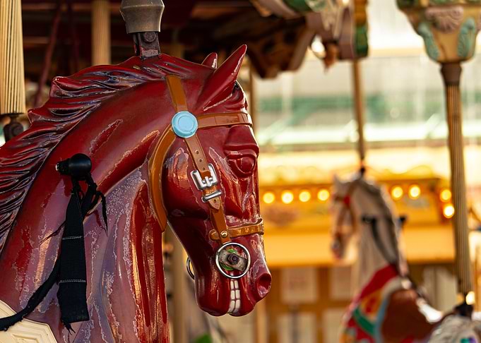 Merry Go Round 4