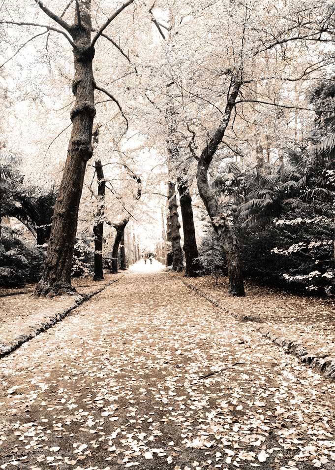 Terra Nostra Park