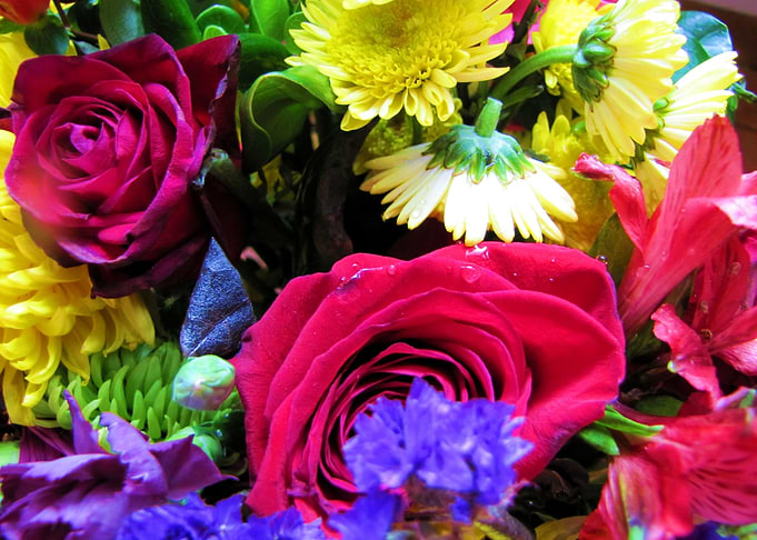 Flower Garden