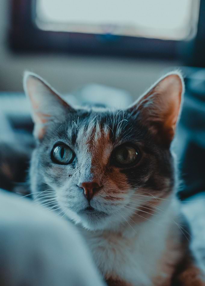 Deep Stare