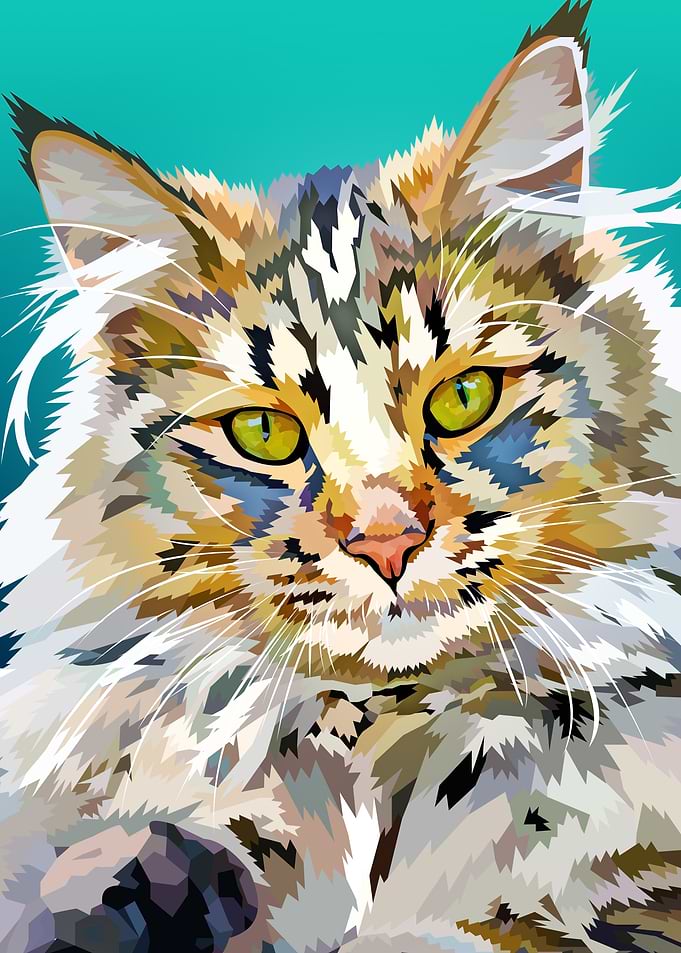Proud Longhaired Cat