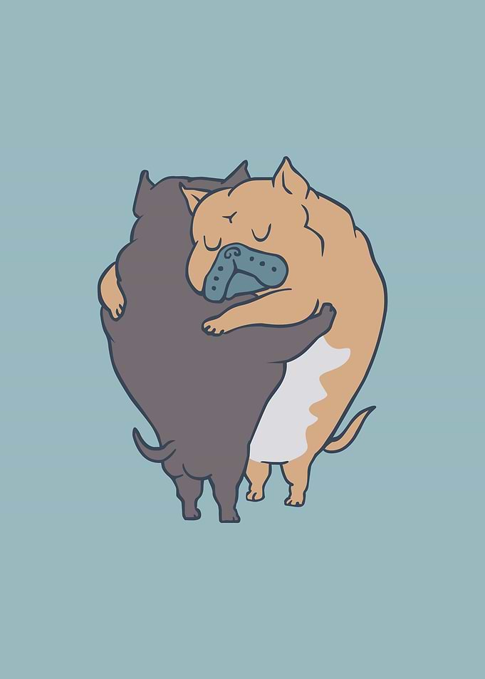 American Bully Hugs