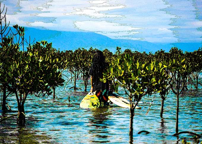 The Mangroves