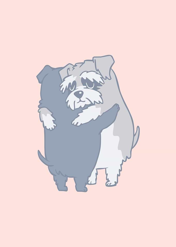 Schnauzer Hugs