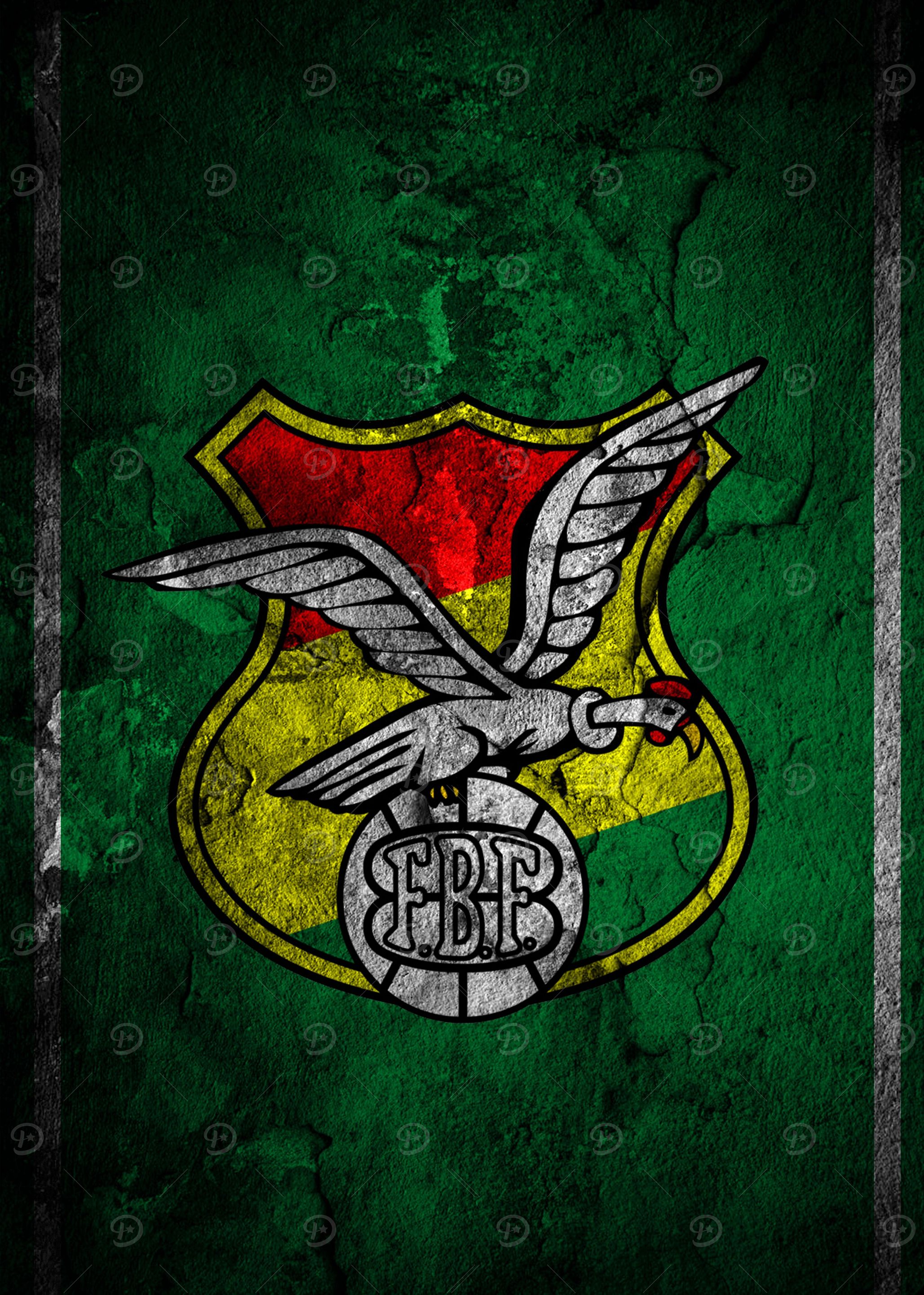 BOLIVIA FOOTBALL LOGO