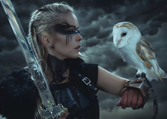 Viking and owl
