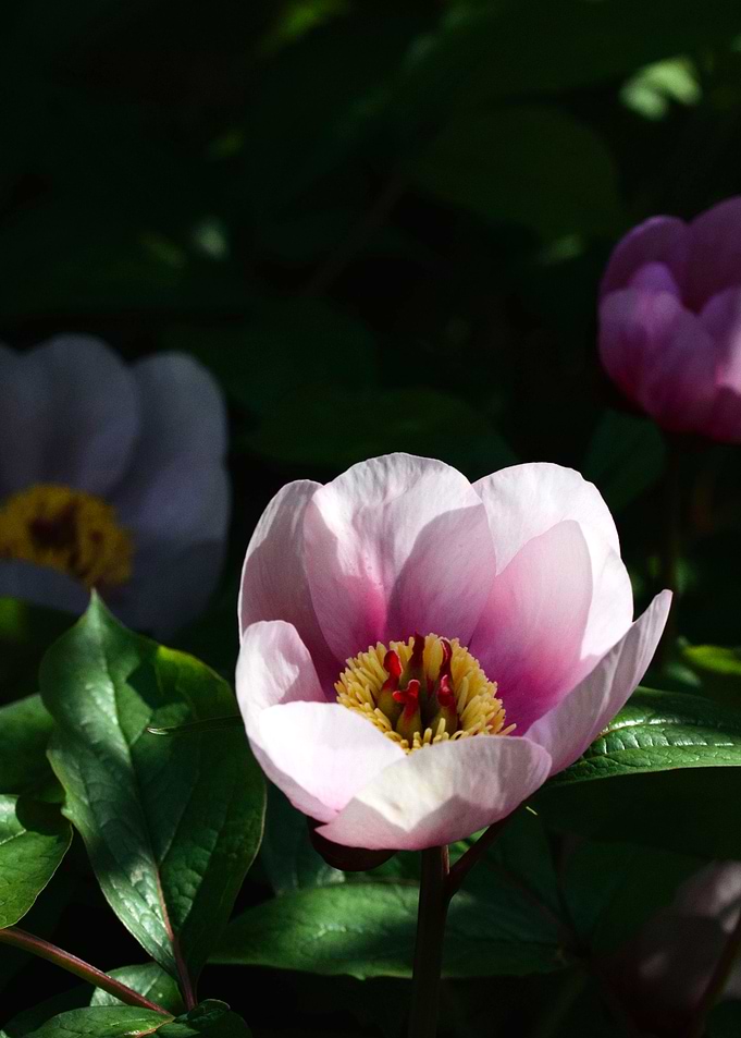 Invitation 4 Meditation 2