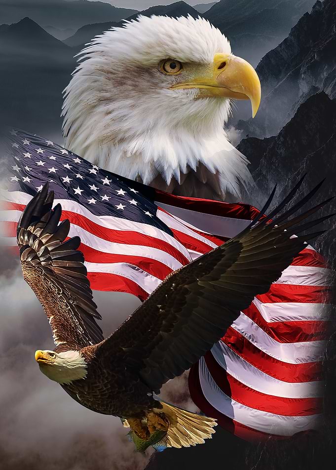 Eagle American Flag
