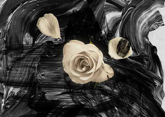 the beauty of sin