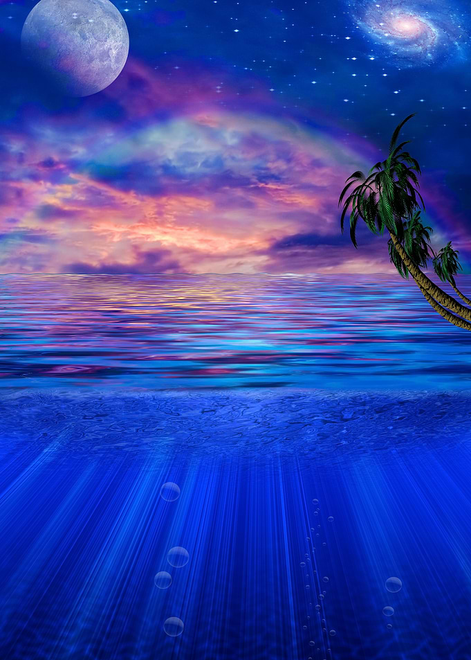 Paradise Shores